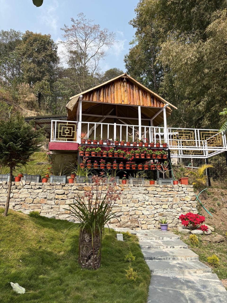 Luxury Glamping Tents - 2